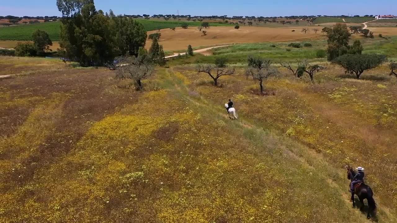 Aerial view of horse back riders on large ranch estate