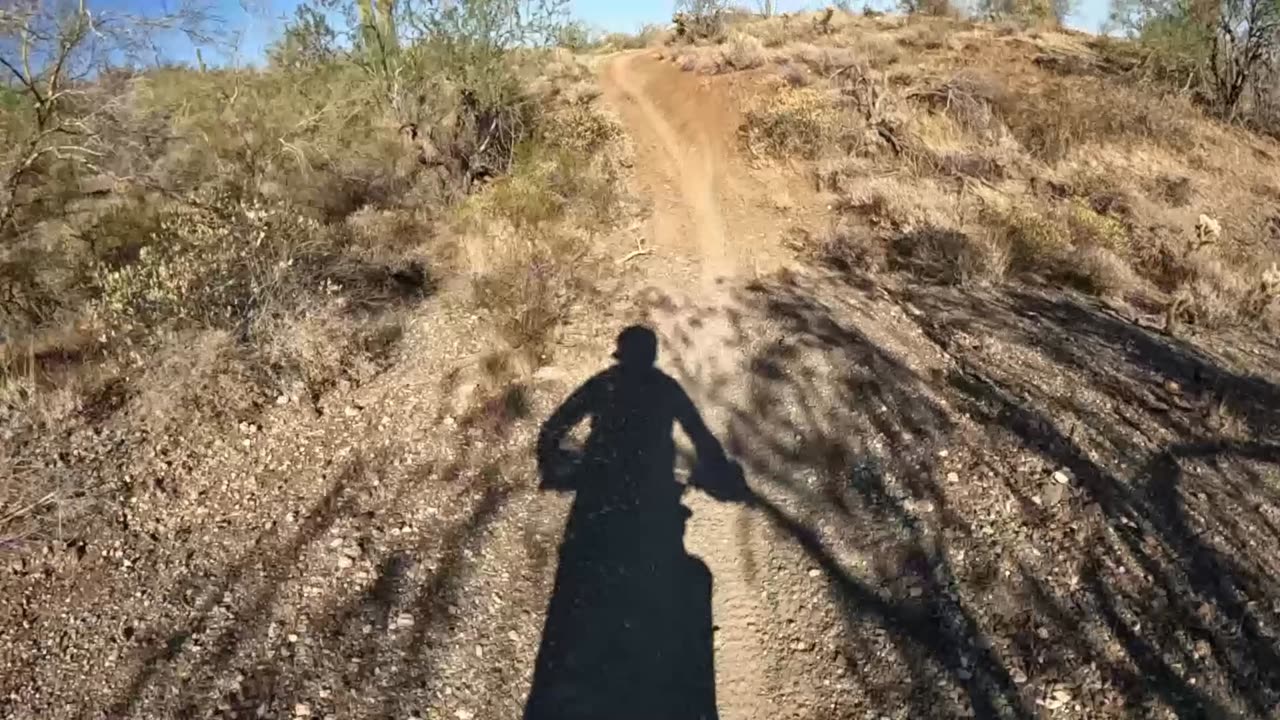 Singletrack by Lake Pleasant