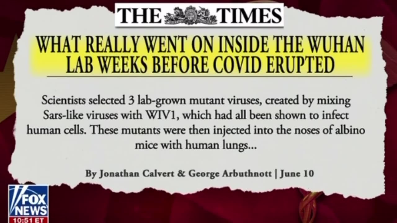 Bombshell Report Alleges Massive Covid Cover-up