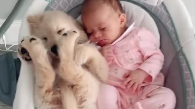 Cute puppy and baby sleeping with wonderful music