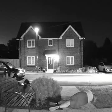 When the ground decided it’s your best friend