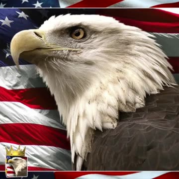 Must See… Black Lives MAGA Video from Waco Rally!