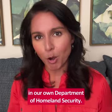 Tulsi Gabbard Destroys Fellow Democrats for Their Silence on 'Ministry of Truth'