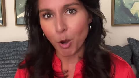 Tulsi Gabbard Destroys Fellow Democrats for Their Silence on 'Ministry of Truth'