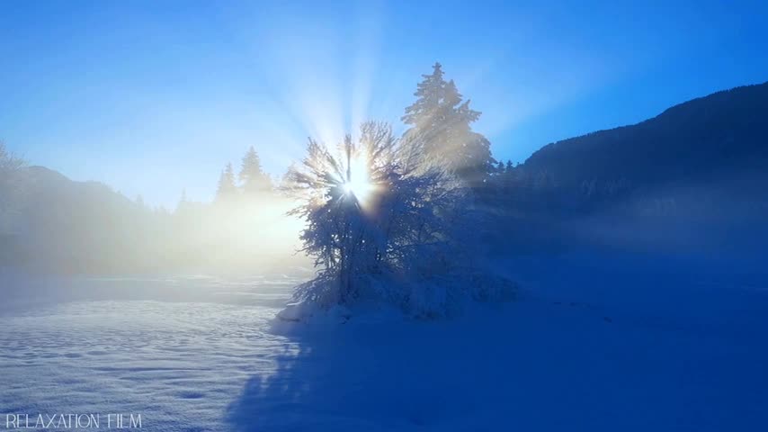 Snow Winter 4K Relaxation Film Meditation