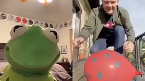 Tiktok Kurmit the frog 😂