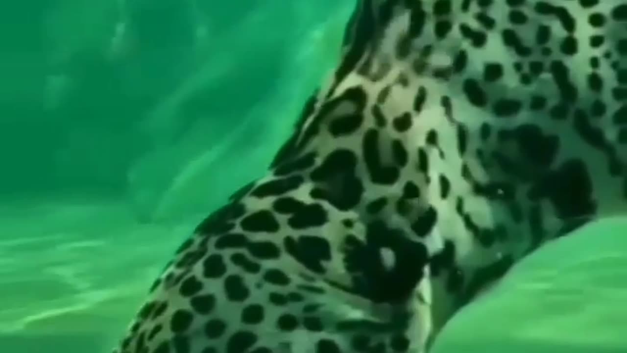 Lapped In Water