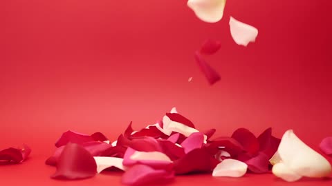 Rose Petals