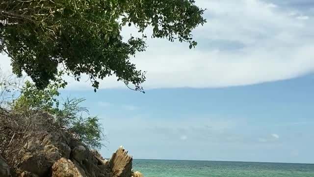 sea beach 4