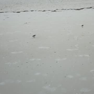 THESE GUYS ARE FAST!