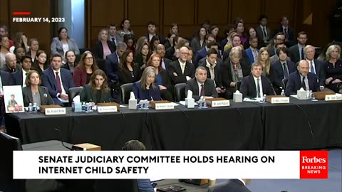 Sheldon Whitehouse Asks Witnesses What The World Would Look Like If Section 230 Was Eliminated