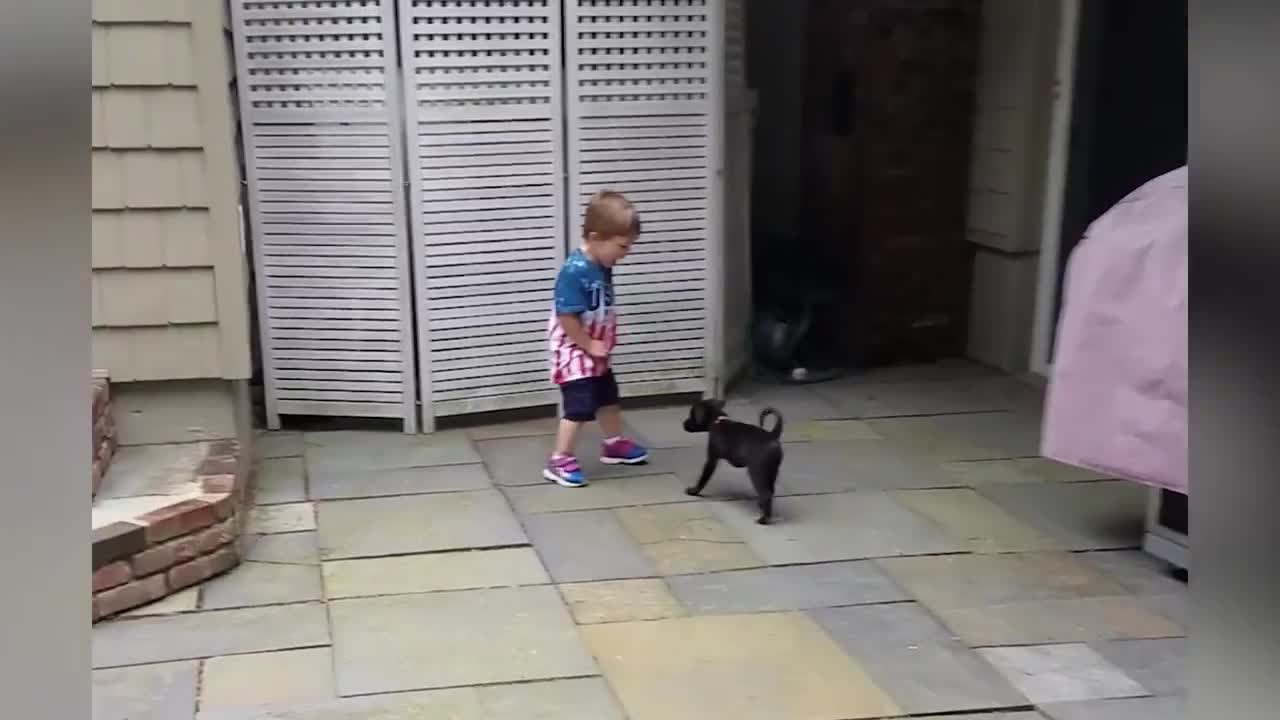 Ultimate Cute Pets vs. Epic Kids Fails Compilation _ Funny Pet Videos February 2018