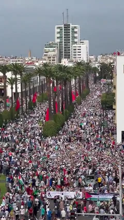 Big demonstration in support of Gaza in the Morocco capital of Rabat