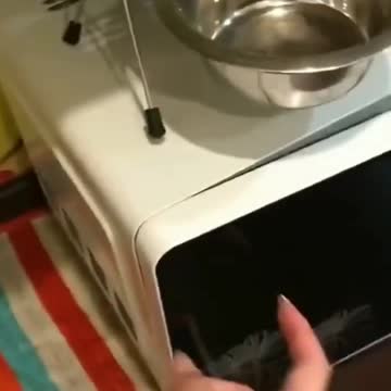 He can accurately identify his bowl 😂