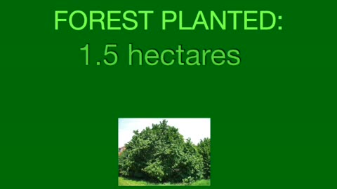 Farm Planting A Forest & teaching about farming!