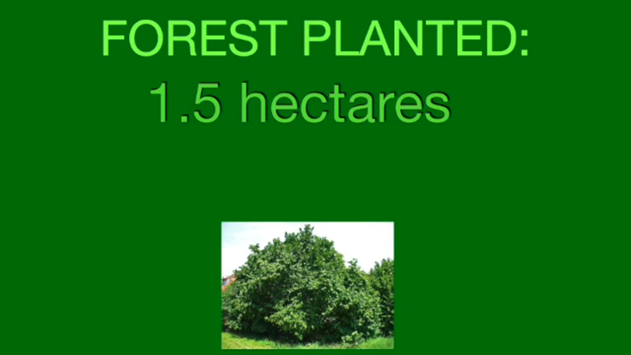 Farm Planting A Forest & teaching about farming!