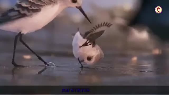 Share🥰🥰🥰🥰🥰