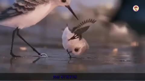 Share🥰🥰🥰🥰🥰