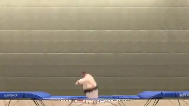 Sumo wrestling bounce