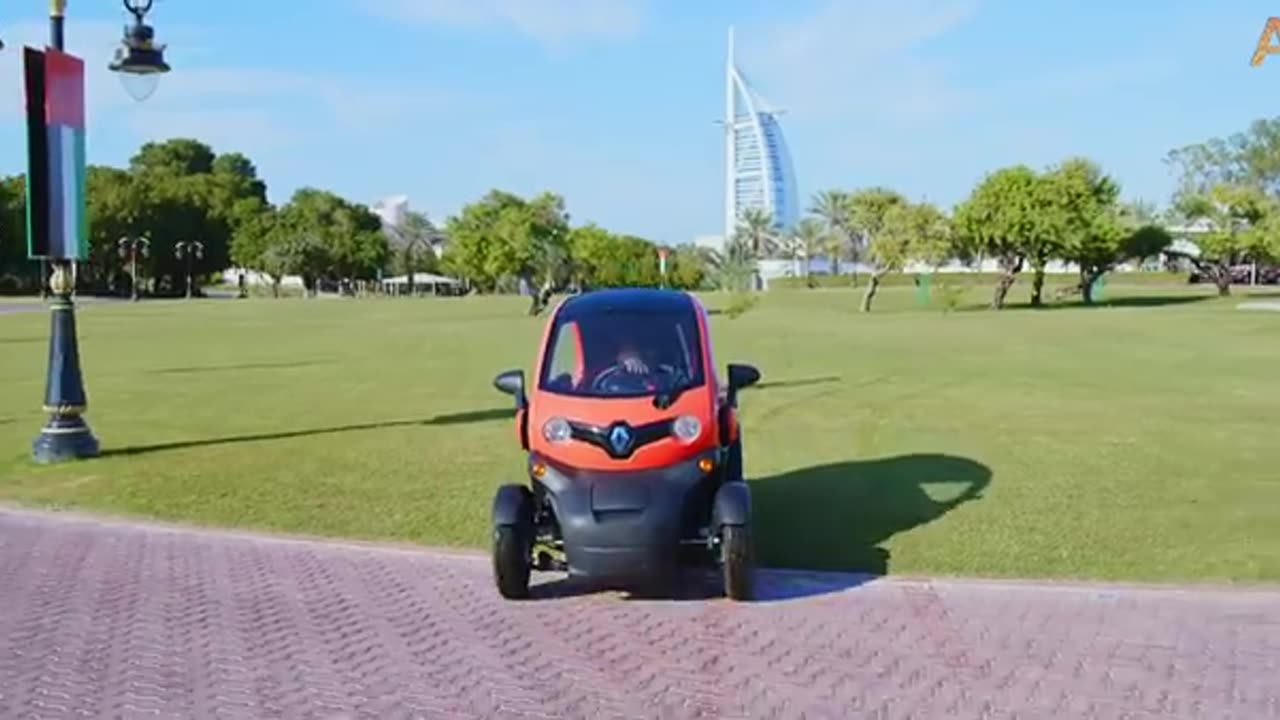 Animalia's Orangutan Rambo loves her electric car