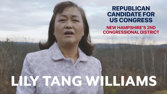 Lily4Congress - I Fear The Country I Love Is Becoming Like The Country I Left