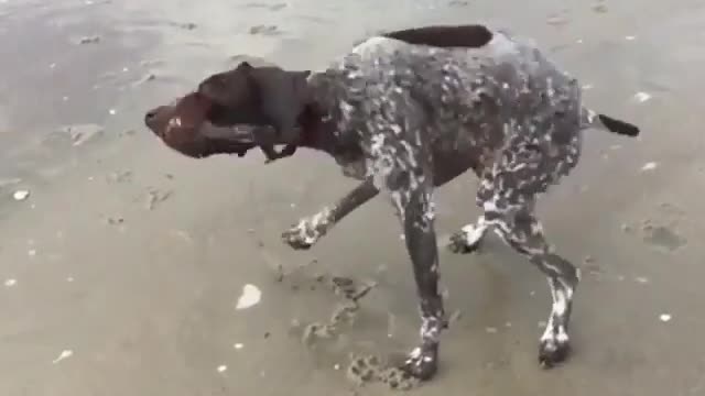 Gettin' Jiggy With It