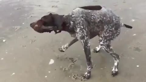 Gettin' Jiggy With It