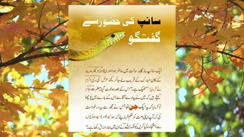 Snake talk to Holy Prophet Muhammad PBUH