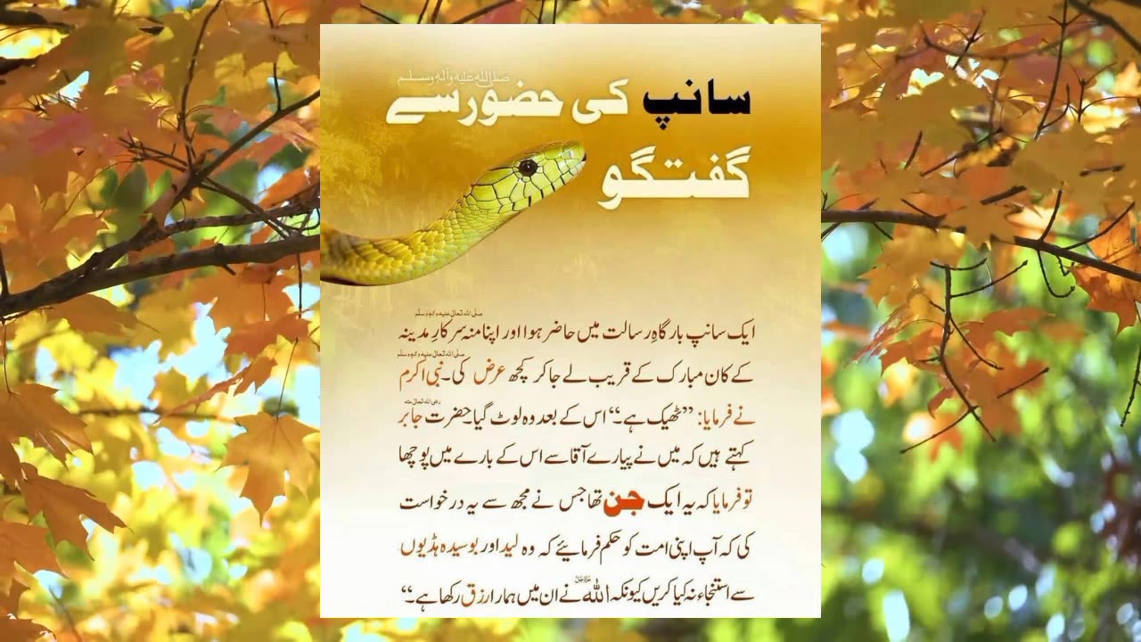 Snake talk to Holy Prophet Muhammad PBUH