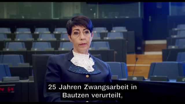 Trailer fighting for freedom