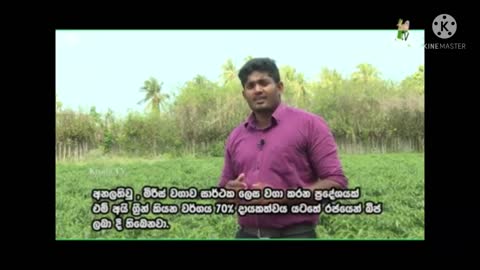 Jaffna Agriculture