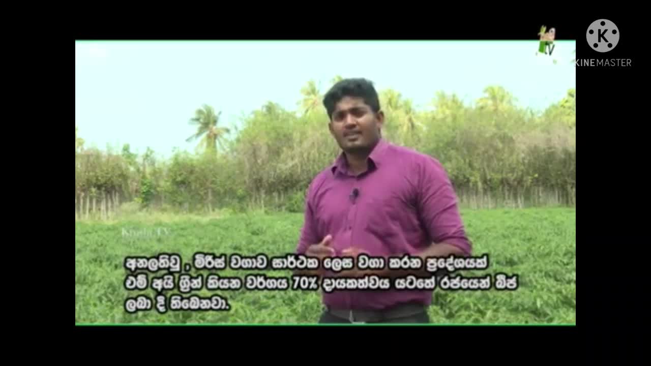 Jaffna Agriculture