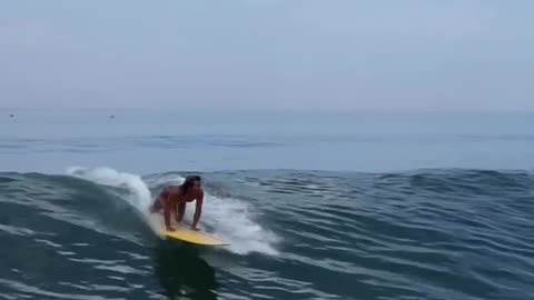 Surf