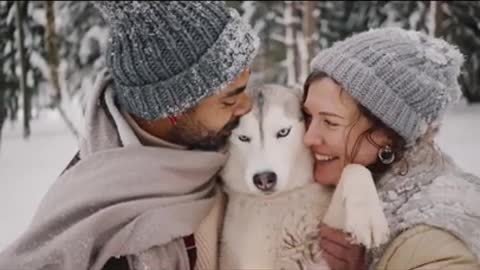 must watch this video Funny Dog Videos 2022 #shorts #viralshorts