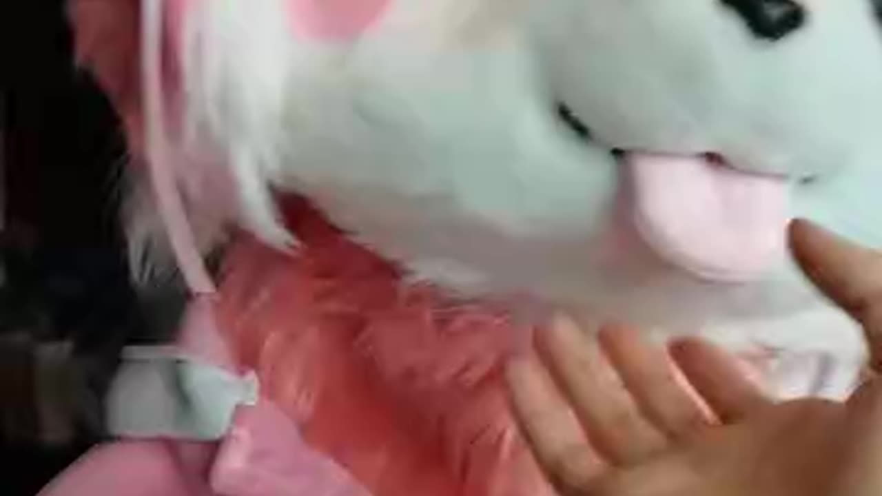 偶尔调戏一下毛替