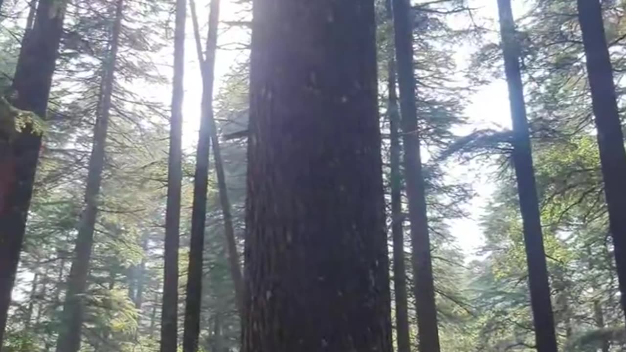 Om