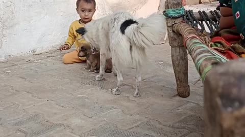 Baby with puppy