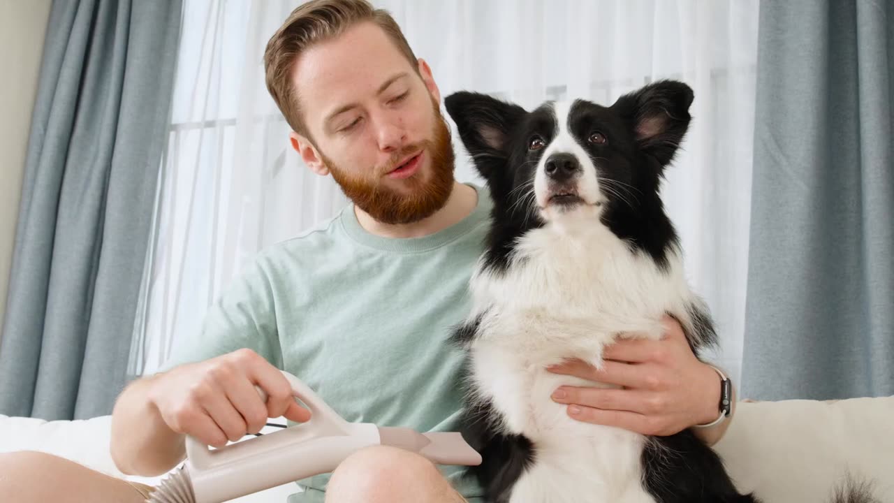 SEECLOUD Dog Hair Dryer,Dog Grooming Dryer with Smart Control Adjustment