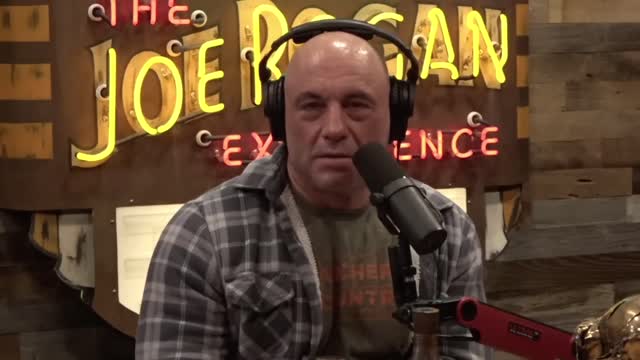 Joe Rogan: Secrets Of Hunting & The SAVAGENESS Of Grizzly Bears, Praying Mantis, Spiders & Nature!