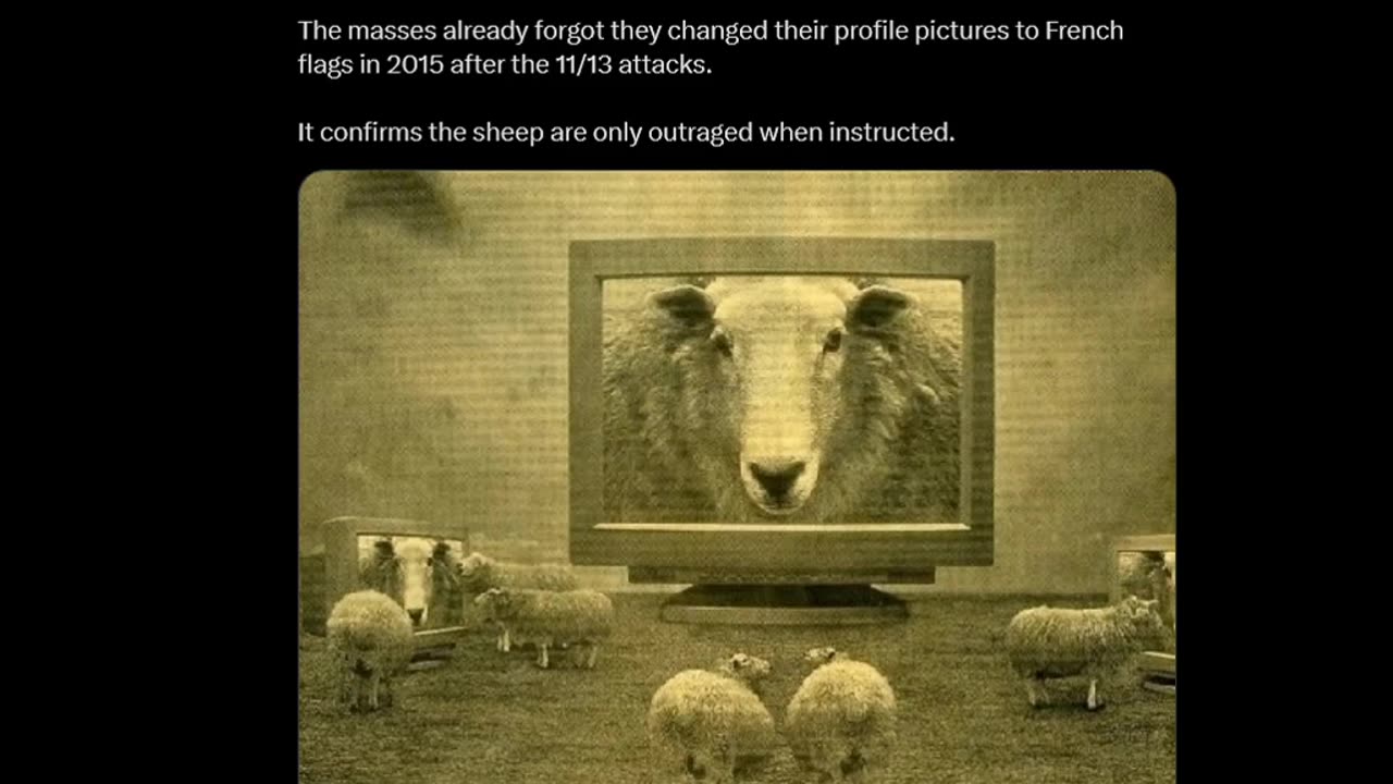 Clandestine - Sheep