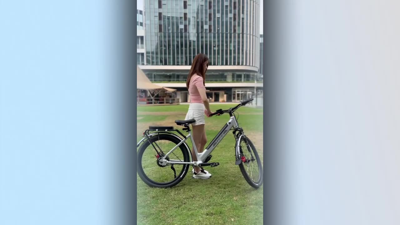 Chainless shaft driven ebike~
