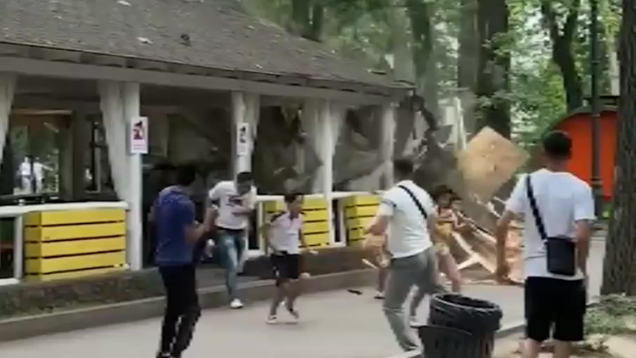 Funny video