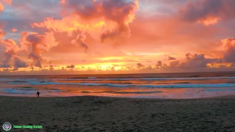 Relaxing Music | Sleeping, Meditation, Stress Relief | [6708] ⭐️
