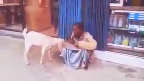 God uses a goat to expose a beggars real condition.