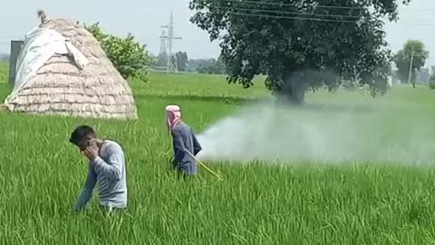 Farming in India