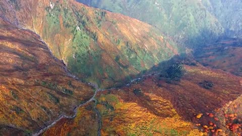 Enchanting Autumn Forests with Beautiful Piano Music