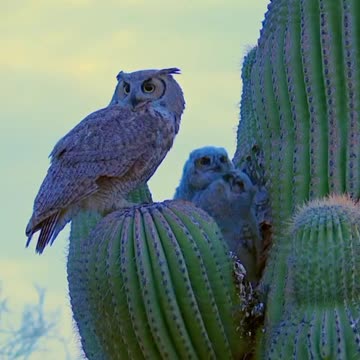 Nature always finds a way 😊