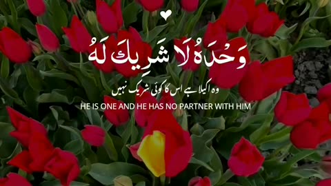 Dua of After Every Fard - Al Quran ہر فرض کے بعد کی دعا - القرآن