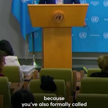 The UN calls for an investigation into Israel’s killing of Turkish-American activist