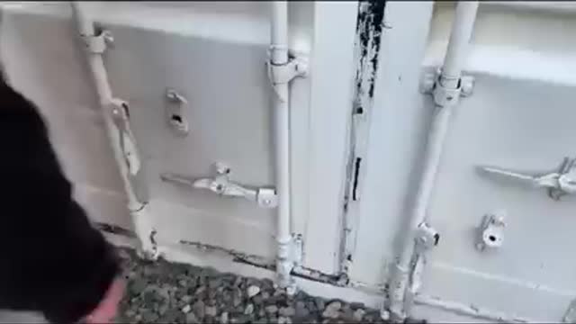 I wonder if there is time Portales